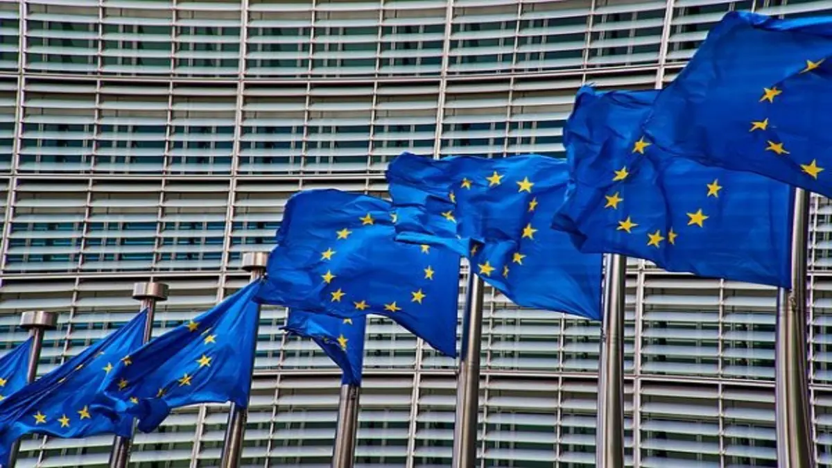 European Parliament Names Türkiye's Justice Minister in Sanctions Call