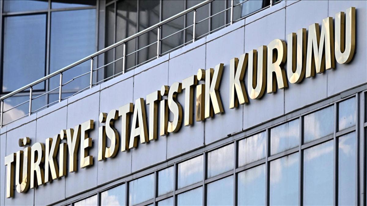 Foreign Controlled Enterprises in Türkiye Rise to 11,086 in 2024