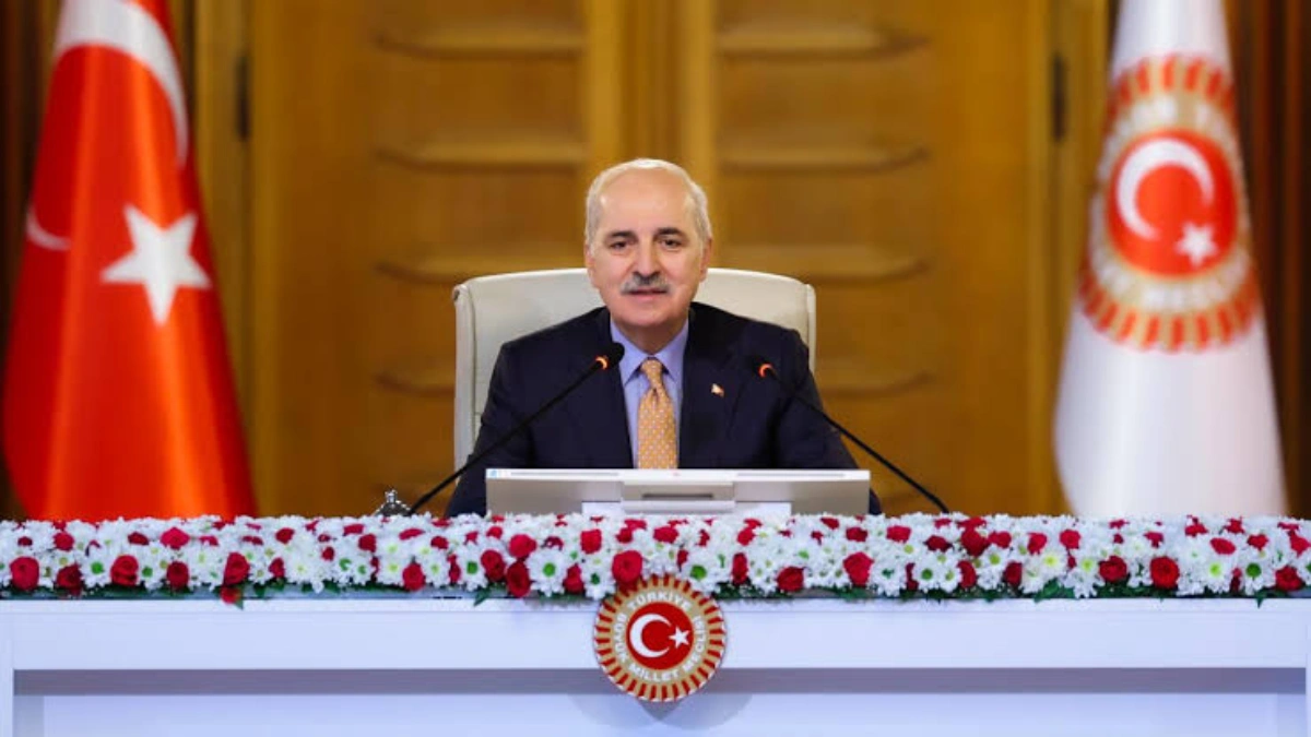 NATO Lawmakers to Meet in Istanbul Before Ankara Leaders' Summit