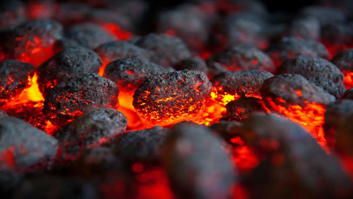 Greenpeace Says Türkiye’s Coal Bill Tops 592 Billion Lira Before COP31