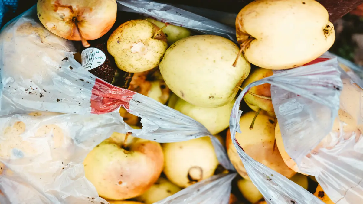 Food Loss Adds Price and Water Pressure to Türkiye’s Agriculture