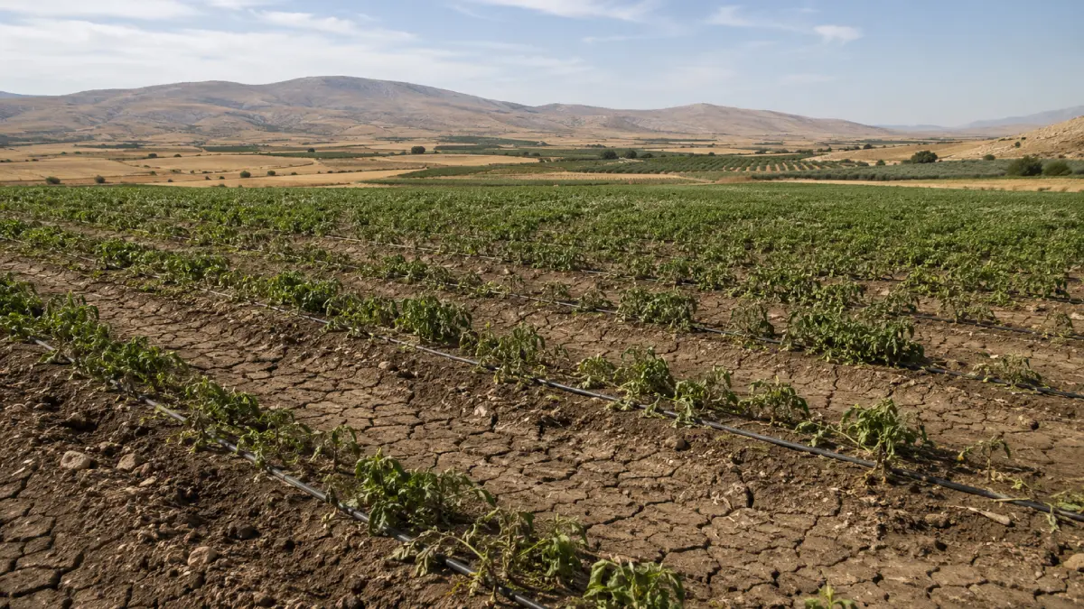 Türkiye Food Security Risks Rise as Water, Land and Farming Pressures Grow