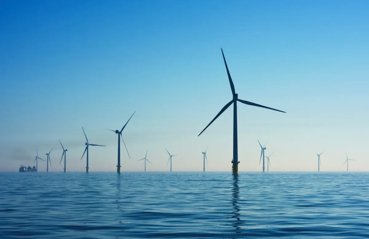 Türkiye's Renewable Power Capacity Tops 80 GW as Solar and Wind Expand